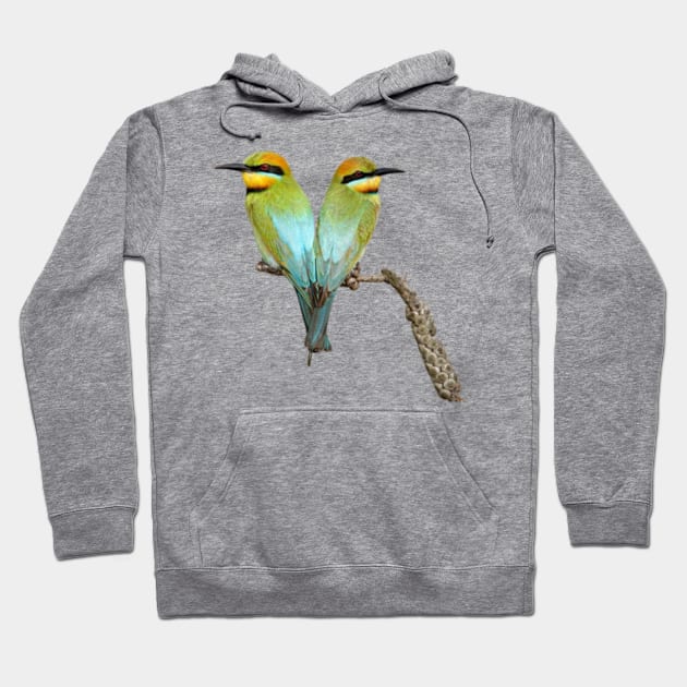 Rainbow bee-eaters - colourful birds watercolour Hoodie by Antoneshop